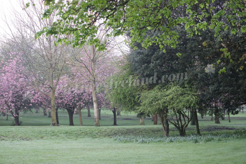 Irish National War Memorial Gardens