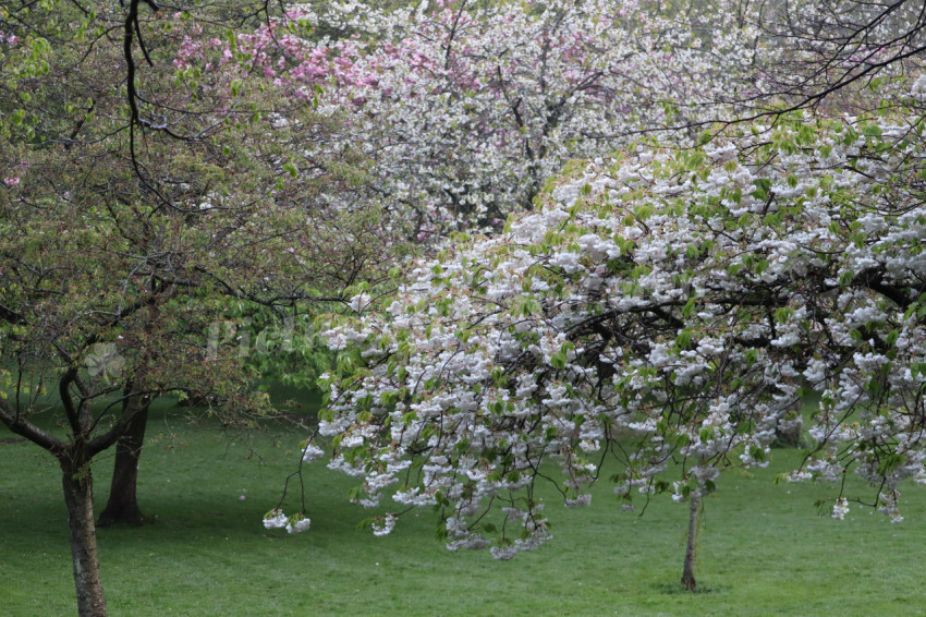 Irish National War Memorial Gardens