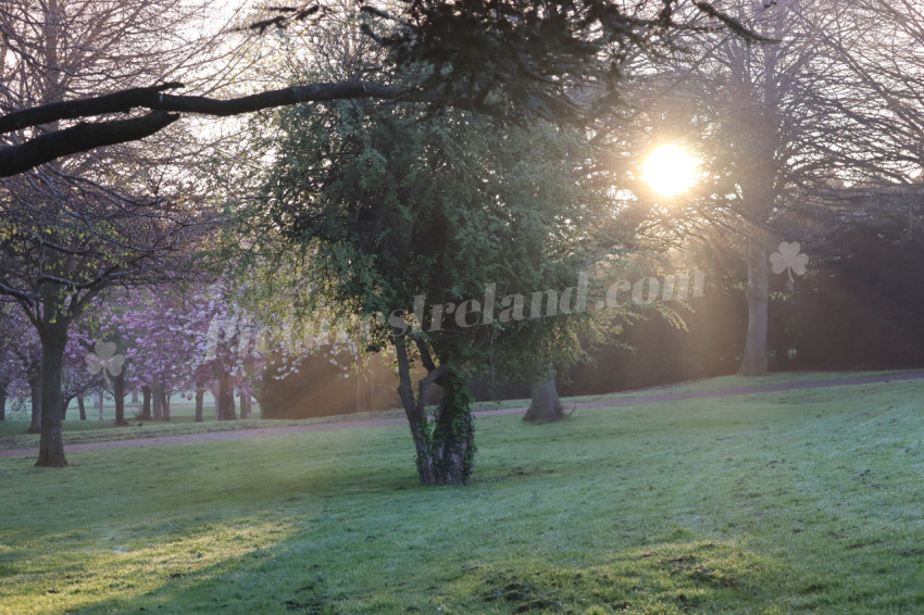 Irish National War Memorial Gardens