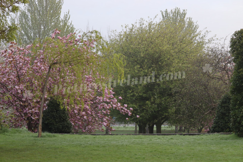 Irish National War Memorial Gardens