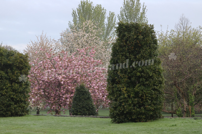 Irish National War Memorial Gardens