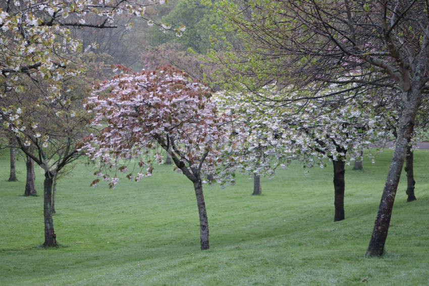 Irish National War Memorial Gardens