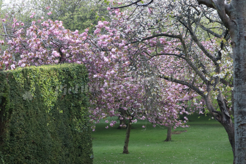 Irish National War Memorial Gardens