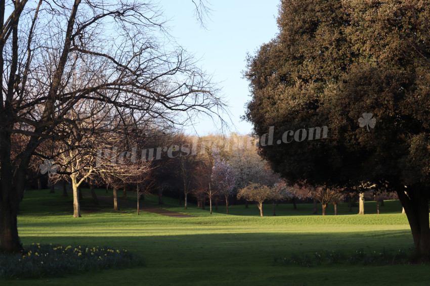 Irish National War Memorial Gardens