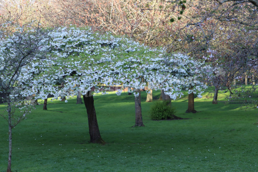Irish National War Memorial Gardens