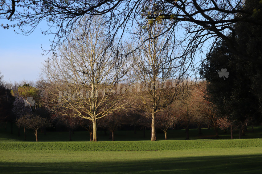 Irish National War Memorial Gardens