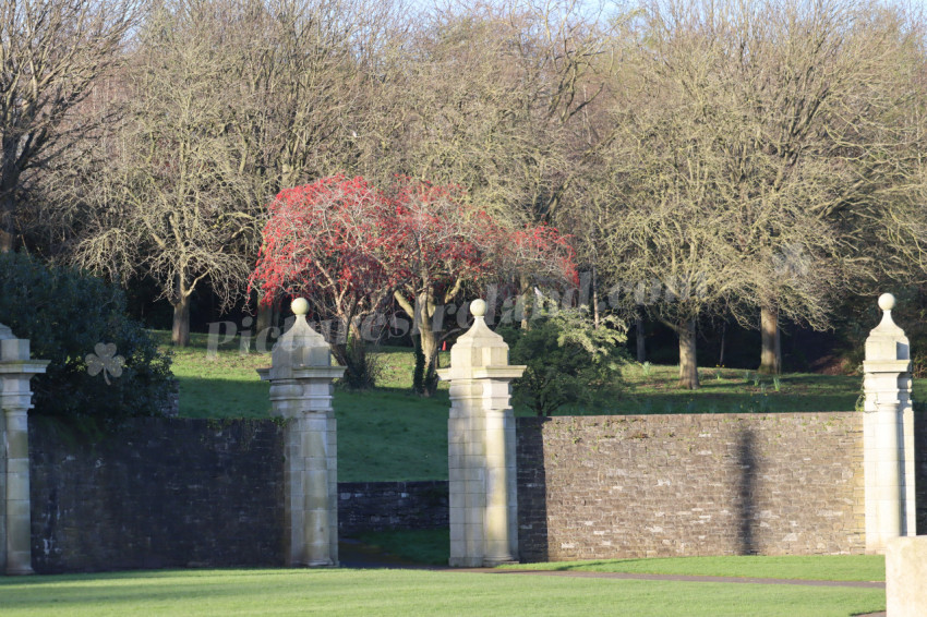 Irish National War Memorial Gardens