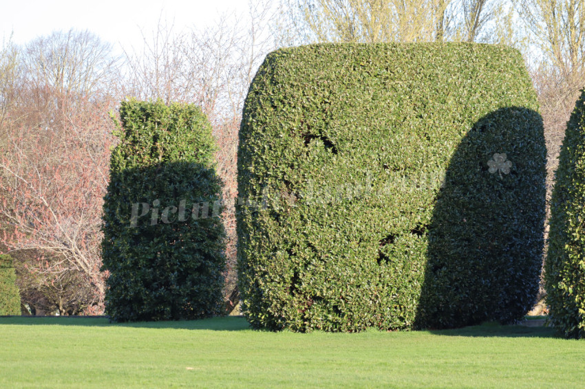 Irish National War Memorial Gardens