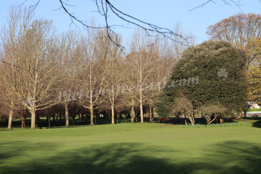 Irish National War Memorial Gardens