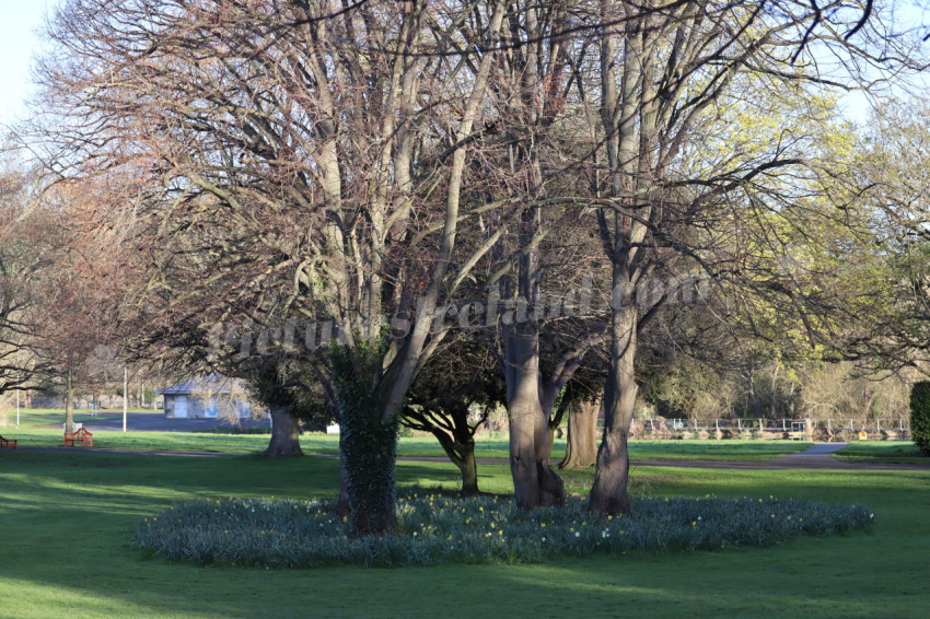 Irish National War Memorial Gardens