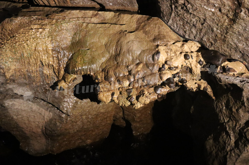 Marble Arch Caves