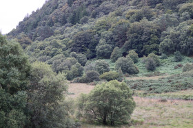 Glendalough 1