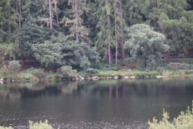 Glendalough 13