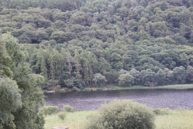 Glendalough 14