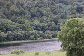 Glendalough 3