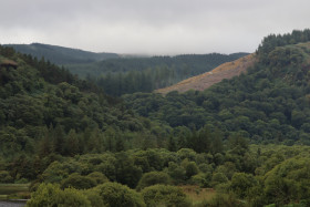 Glendalough 7