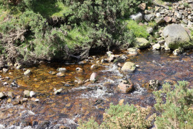 Wicklow Mountains Ireland