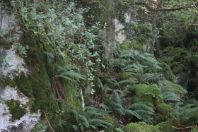 Marble Arch Caves