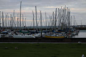 Cliff walks in Howth