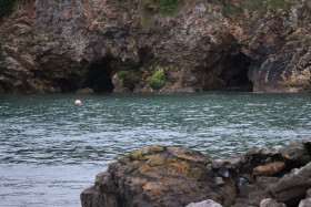 Cliff walks in Howth