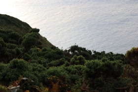 Cliff walks in Howth