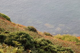 Cliff walks in Howth