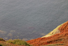 Cliff walks in Howth