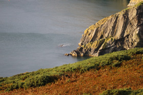 Cliff walks in Howth