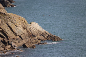 Cliff walks in Howth