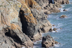 Cliff walks in Howth