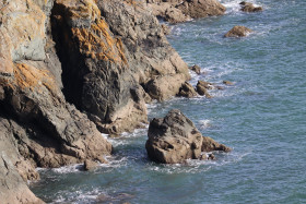 Cliff walks in Howth