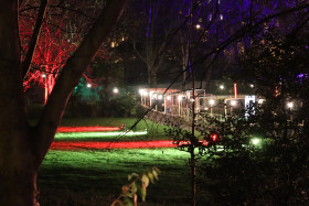 Merrion Square Winter Lights