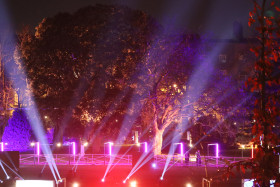 Merrion Square Winter Lights