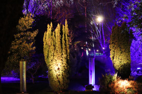 Merrion Square Winter Lights