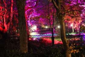 Merrion Square Winter Lights