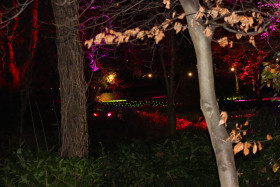 Merrion Square Winter Lights