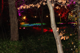 Merrion Square Winter Lights