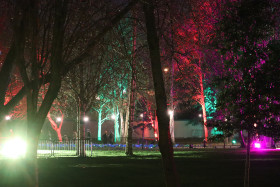 Merrion Square Winter Lights