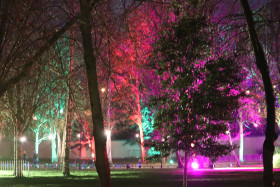 Merrion Square Winter Lights