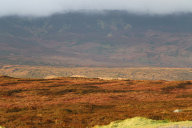 Wicklow Mountains Ireland