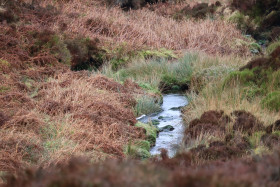 Wicklow Mountains Ireland