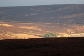 Wicklow Mountains Ireland