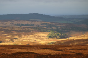 Wicklow Mountains Ireland