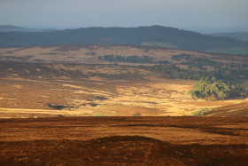 Wicklow Mountains Ireland