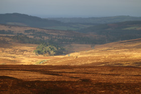 Wicklow Mountains Ireland