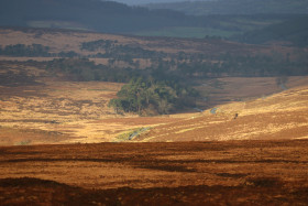 Wicklow Mountains Ireland