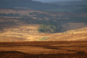 Wicklow Mountains Ireland