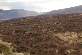 Wicklow Mountains Ireland