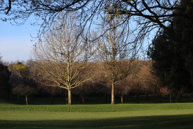 Irish National War Memorial Gardens