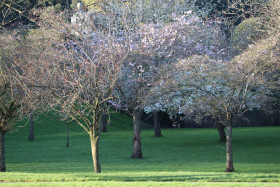 Irish National War Memorial Gardens